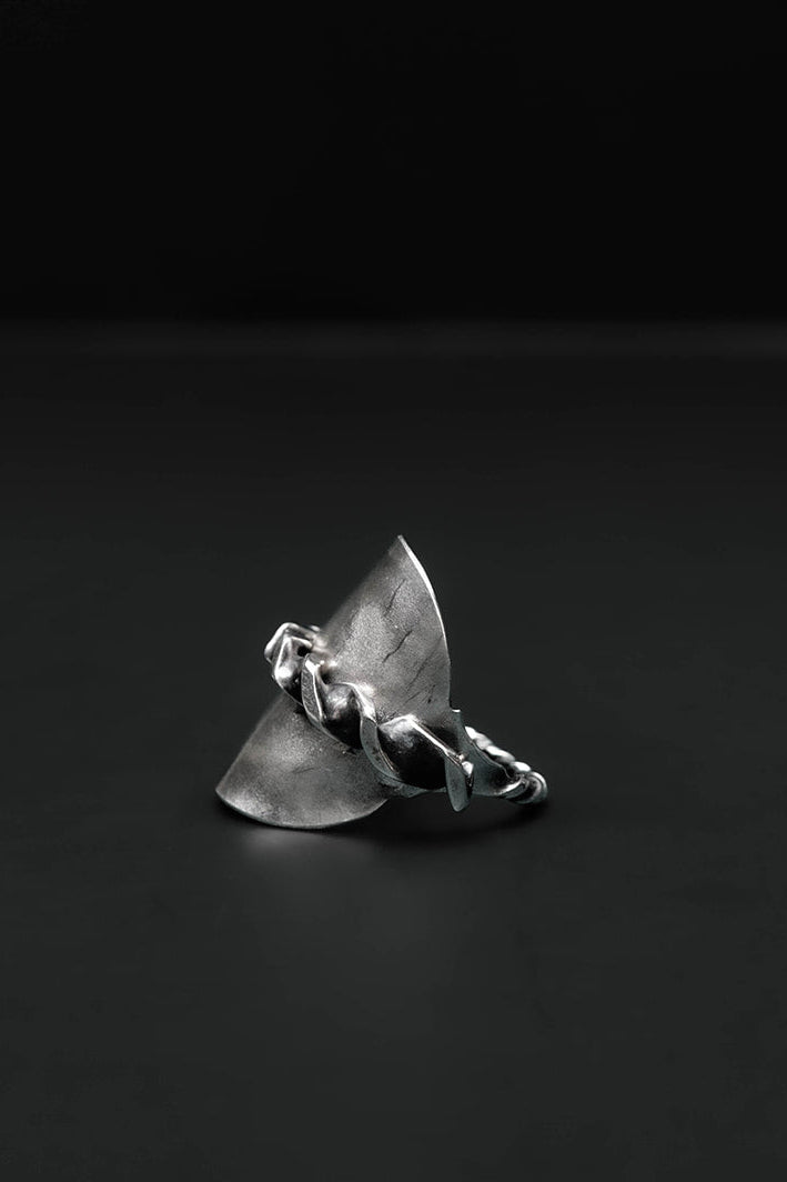sterling saddleback spiral ring
